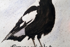 Magpie_sml
