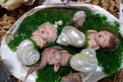 snail_babies