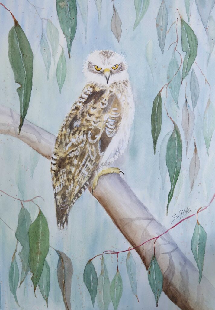 Watercolour painting of powerful owl by Sue Nichols